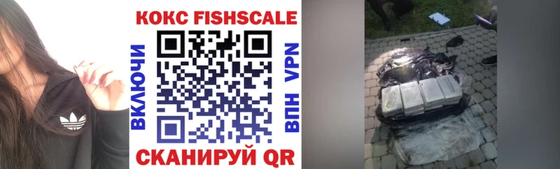 дарнет шоп Татарск omg ссылки COCAIN Fish Scale