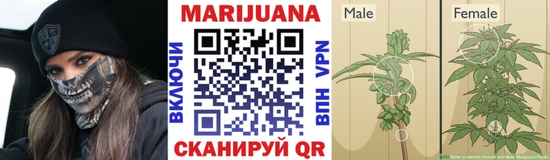 omg онион  площадка официальный сайт  Каннабис Amnesia  Татарск 